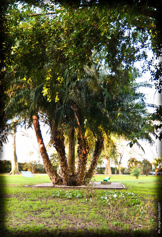 Colon Hotel De Campo Resort & Spa Santa Fe Bagian luar foto